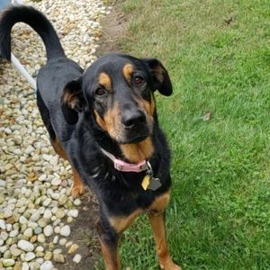 Meet your Posher, Karen